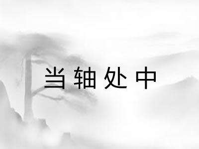 当轴处中