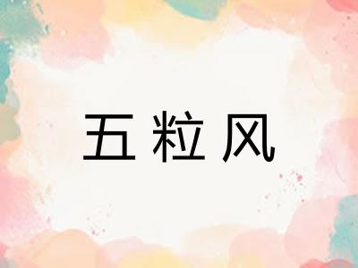 五粒风