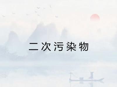 二次污染物