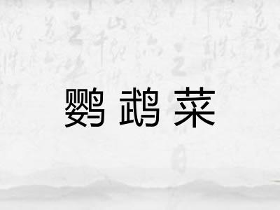 鹦鹉菜