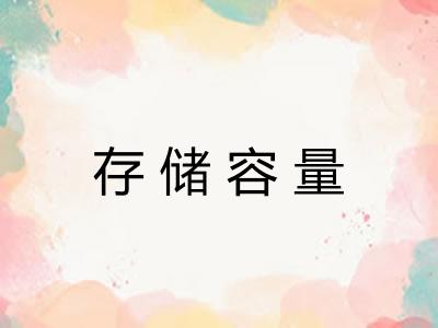 存储容量