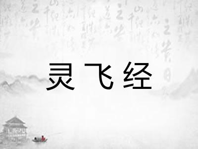 灵飞经