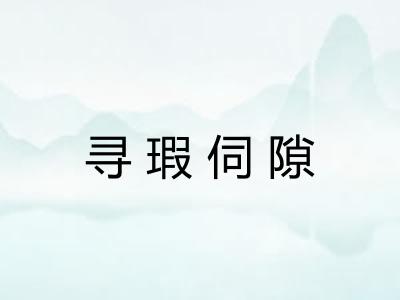 寻瑕伺隙