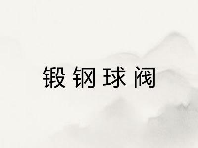 锻钢球阀