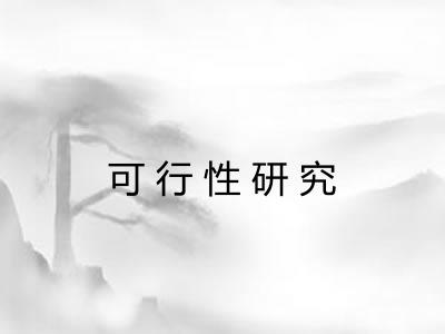 可行性研究