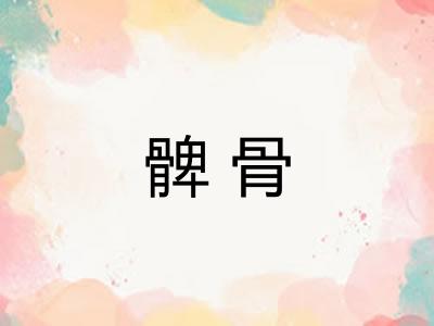 髀骨