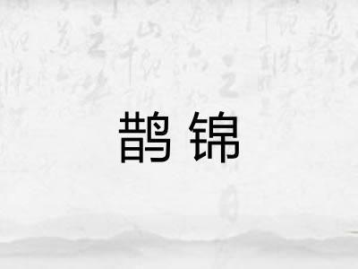 鹊锦