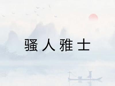 骚人雅士