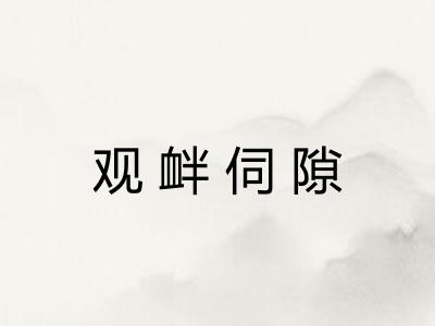观衅伺隙