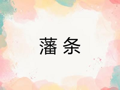 藩条