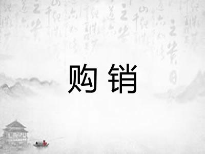 购销