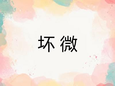 坏微