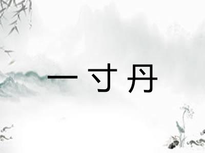 一寸丹