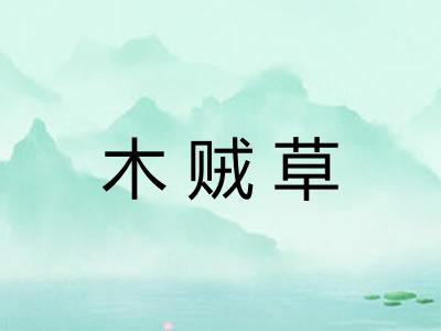 木贼草