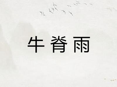 牛脊雨