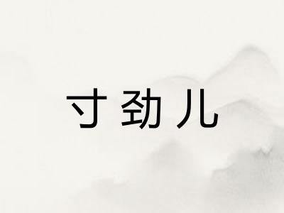寸劲儿