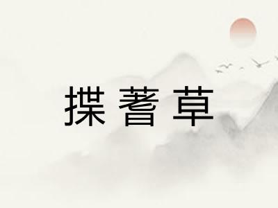 揲蓍草