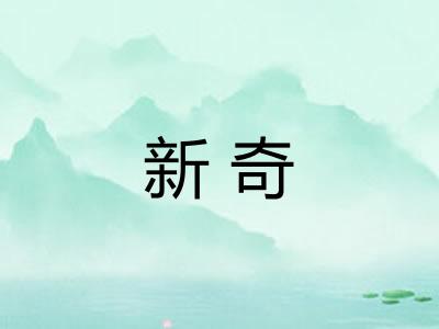 新奇