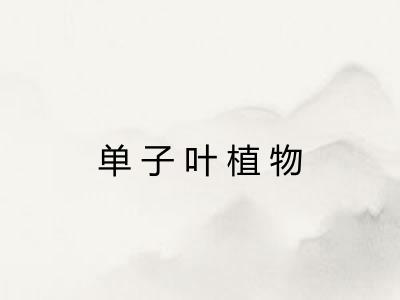 单子叶植物