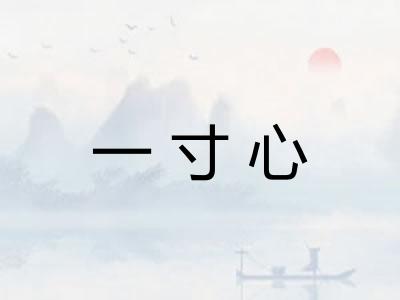 一寸心