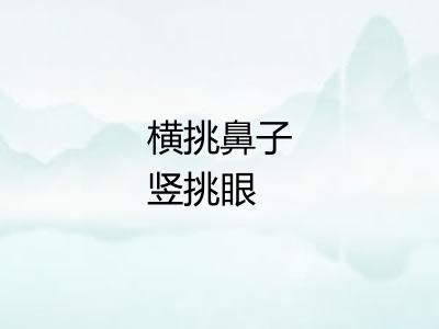 横挑鼻子竖挑眼