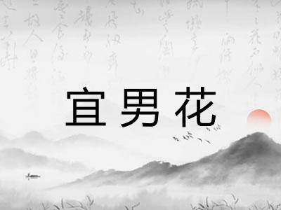 宜男花