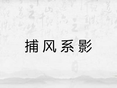 捕风系影