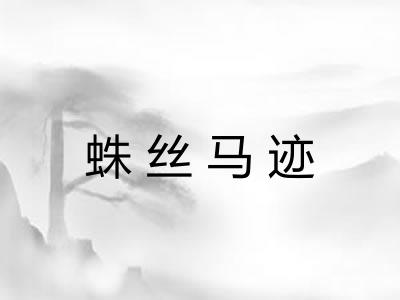 蛛丝马迹