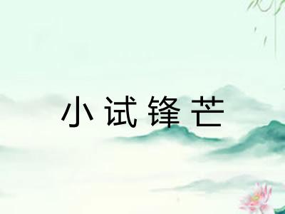 小试锋芒