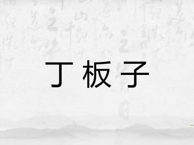 丁板子