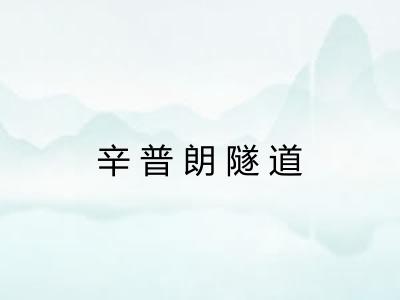 辛普朗隧道