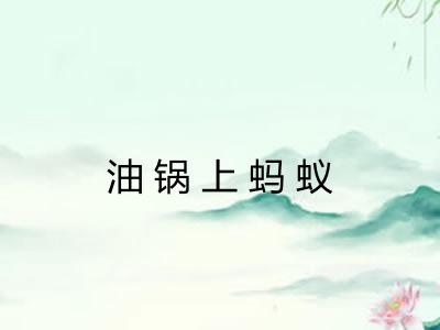 油锅上蚂蚁