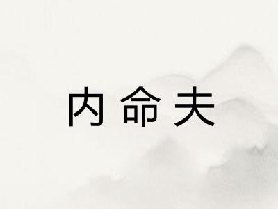 内命夫
