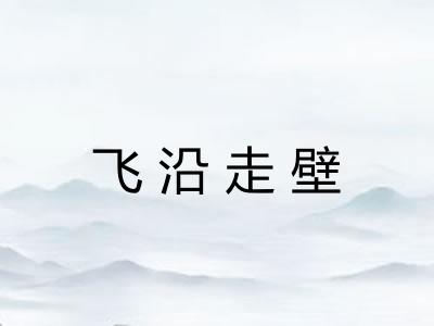 飞沿走壁