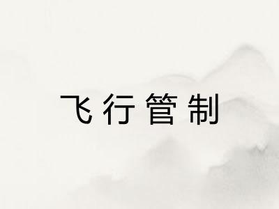 飞行管制