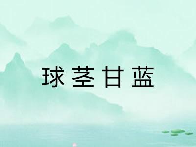 球茎甘蓝