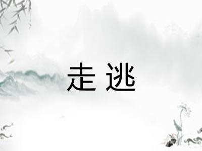 走逃