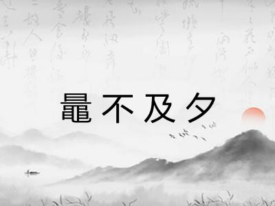 鼂不及夕