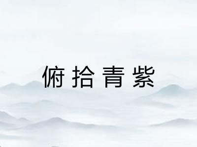 俯拾青紫