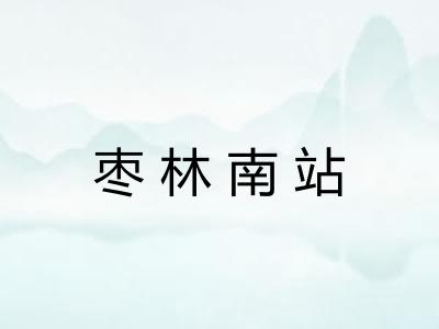 枣林南站