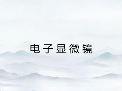 电子显微镜