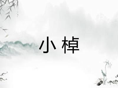 小棹