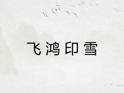 飞鸿印雪
