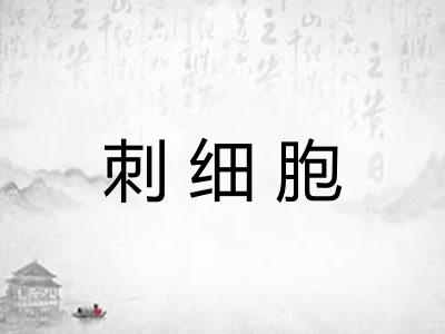 刺细胞