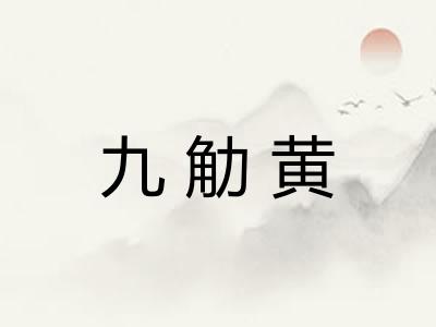 九觔黄