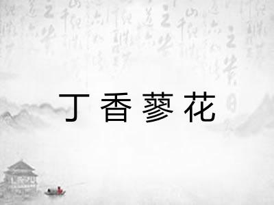 丁香蓼花