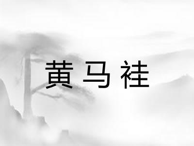 黄马袿