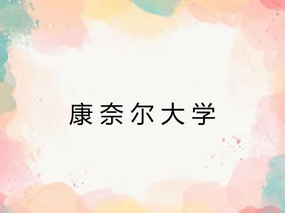 康奈尔大学