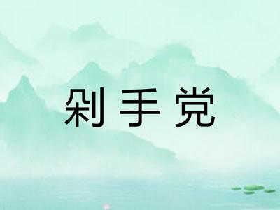 剁手党