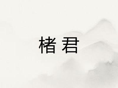楮君